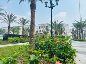 Chà Là CL6 Vinhomes Ocean Park - Phân khu Chà Là sở hữu một số quỹ căn chuyển nhượng giá tốt