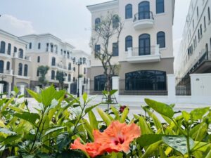 CL9 Vinhomes Ocean Park 2 - Phân khu Chà Là gây ấn tượng bởi không gian sống xanh, trong lành