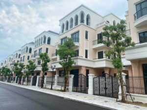 Quỹ căn Vinhomes Ocean Park 2 năm 2024 - Phân khu Cọ Xanh Vinhomes Hưng Yên