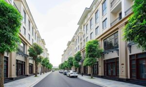 Bán liền kề shophouse Vịnh Tây Vinhomes Ocean Park 3 vừa ở vừa kinh doanh