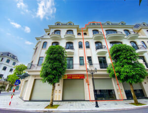 Bán shophouse dãy Sao Biển 10 Vinhomes Ocean Park 2 DT 58,5m2