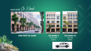 Phân khu Cọ Xanh - Nhà phố Cọ Xanh Vinhomes Ocean Park 2
