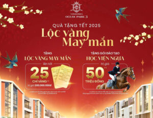 An cư rộn ràng với quà tặng tết 2025 Vinhomes Ocean Park 3