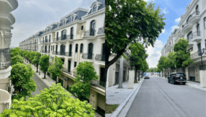 Bán nhà Sao Biển 12 Vinhomes Ocean Park 2 cạnh công viên 10ha