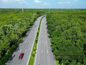 Đề xuất triển khai dự án đường sắt đi Cần Giờ 4 tỷ USD