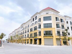 Bán liền kề San Hô 21 Vinhomes Ocean Park 2, hướng Đông Nam