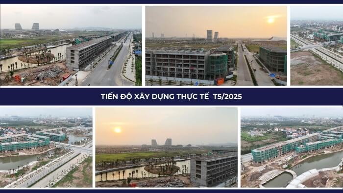 Dự án 1288 Bạch Đằng Dự án 1288 Bạch Đằng