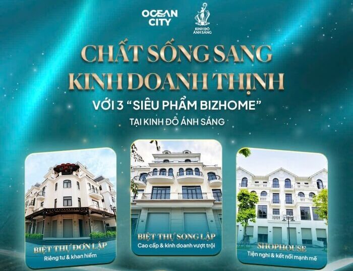 Bizhome Kinh đô Ánh sáng Home business là gì 