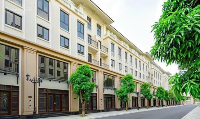 Nhà liền kề hay chung cư