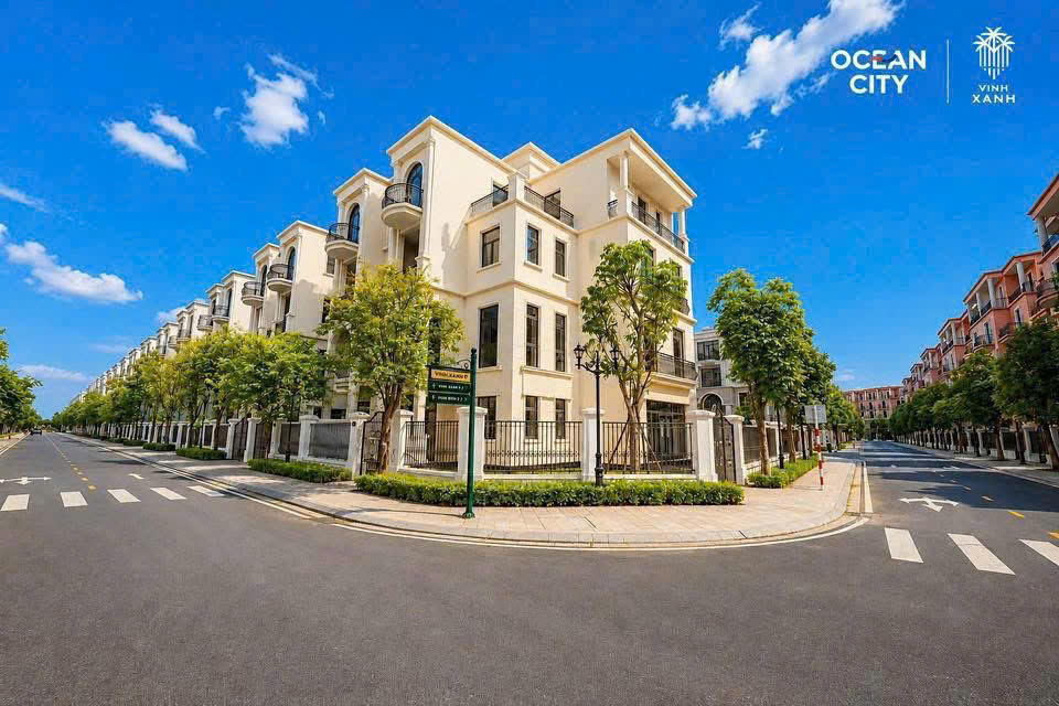 Mặt bằng Vịnh Xanh Vinhomes Ocean Park 3 Mặt bằng Vịnh Xanh Vinhomes Ocean Park 3